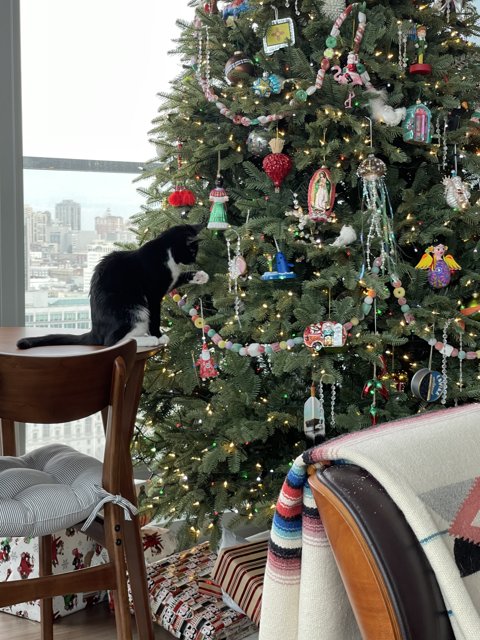A Feline Christmas Chair