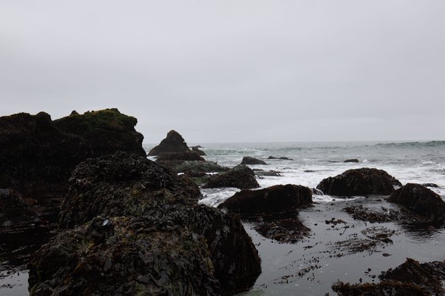 Storm-Washed Tide Pools at Schoolhouse Beach