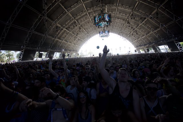 Coachella's Hypnotic Crowd