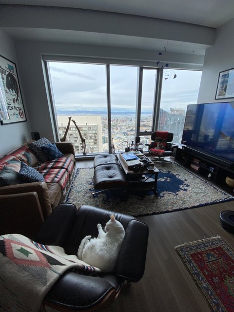 Modern Living Room with Sleek Entertainment Center