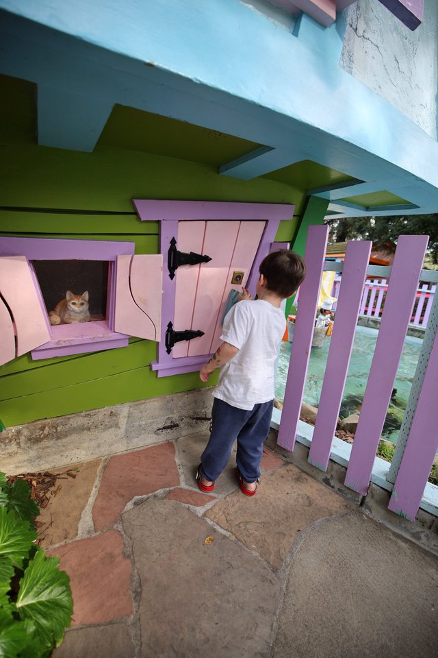 Young Child Discovers Cat in Colorful Miniature House