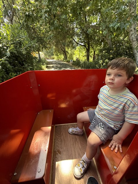 Adventure Awaits in Walnut Creek