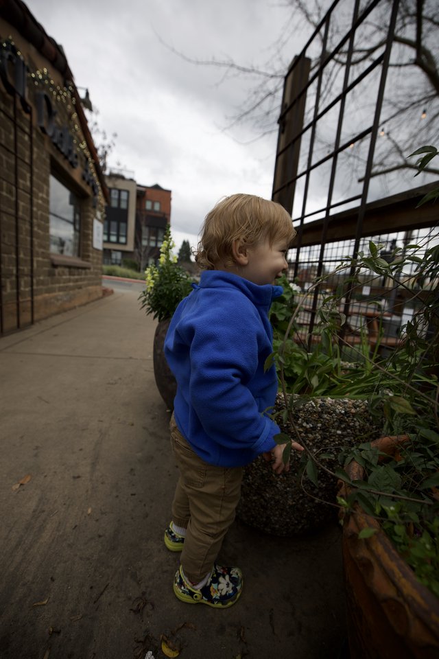 Young Child Exploring Urban Community Garden