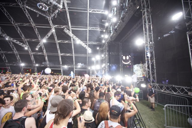 Coachella Crowd with Hands Up