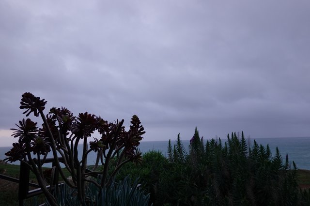 Coastal Evening with Dramatic Purple Sky