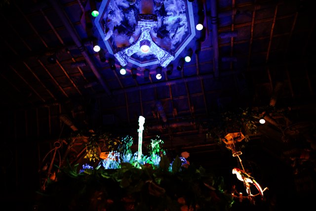 Enchanted Tree Illumination in Disneyland
