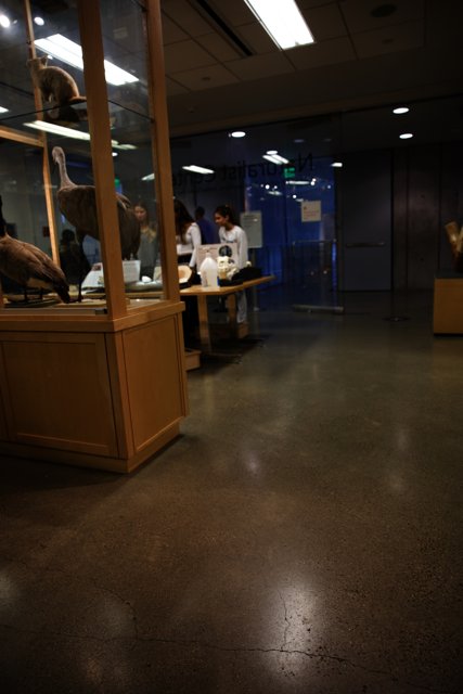 A Cultural Escapade at the California Academy of Sciences