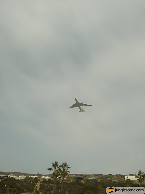 Majestic Airliner in Flight