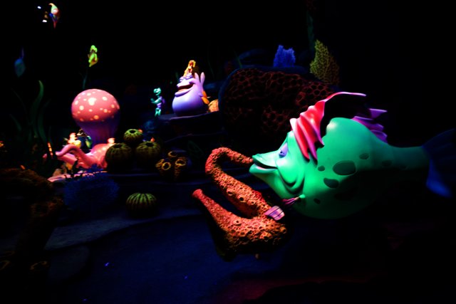 Magical Underwater Expedition at Disneyland