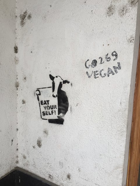 Coos Vegan Graffiti on Wall