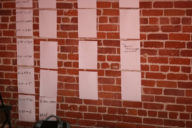 Documented Brick Wall
