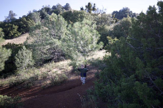 Young Explorer Conquering the Trails of Mount Diablo