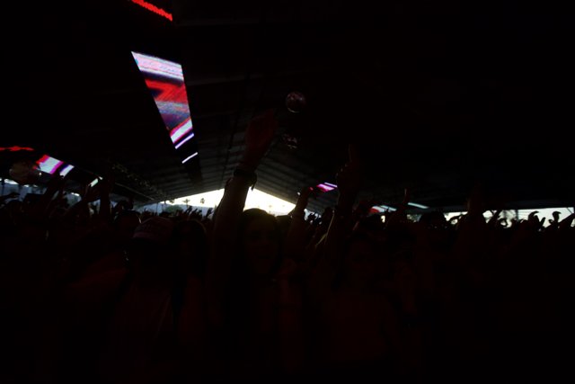 Coachella 2012: Electrifying Crowd