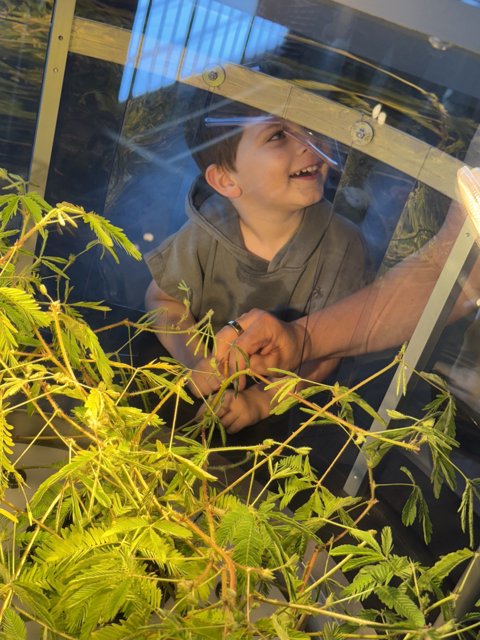 Curious Encounters in the Greenhouse