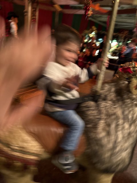 Whirl of Joy at the Carousel