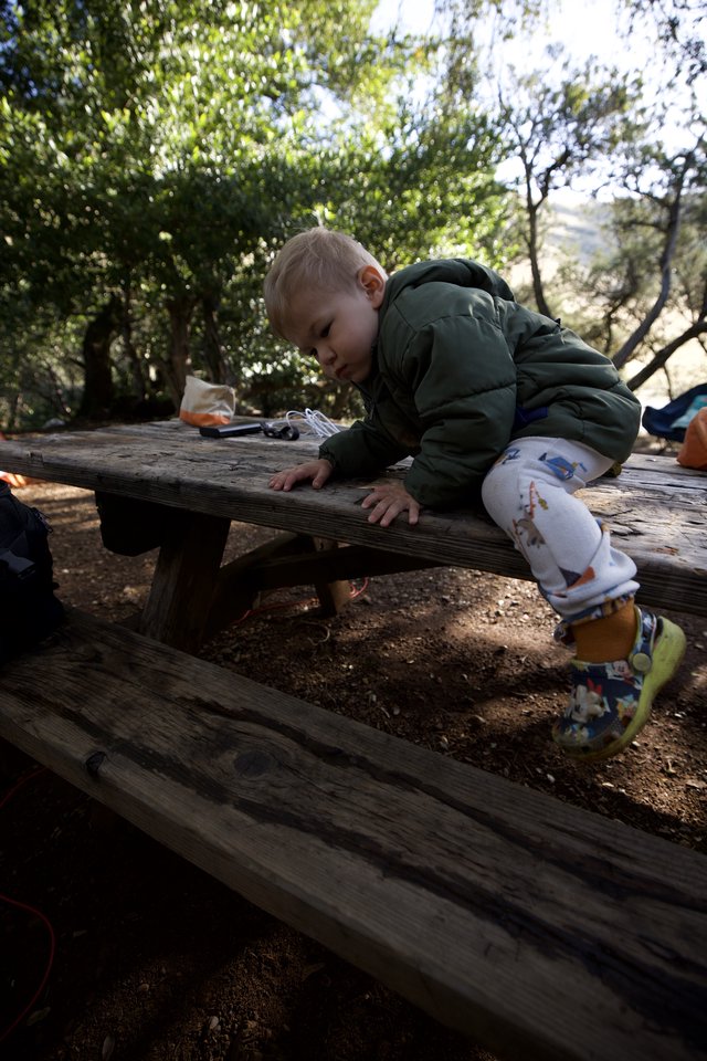 Fearless Toddler Conquers Campsite Picnic Table