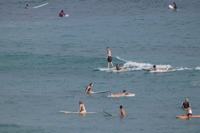 Surf's Up! A Day of Waves and Wonders in Hawaii
