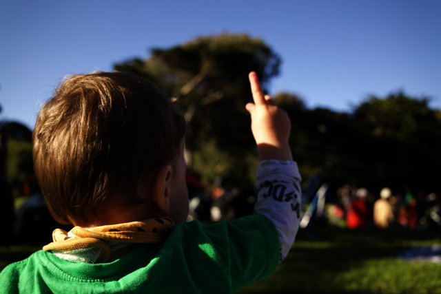 Innocence Unleashed: The Discovery in Delores Park