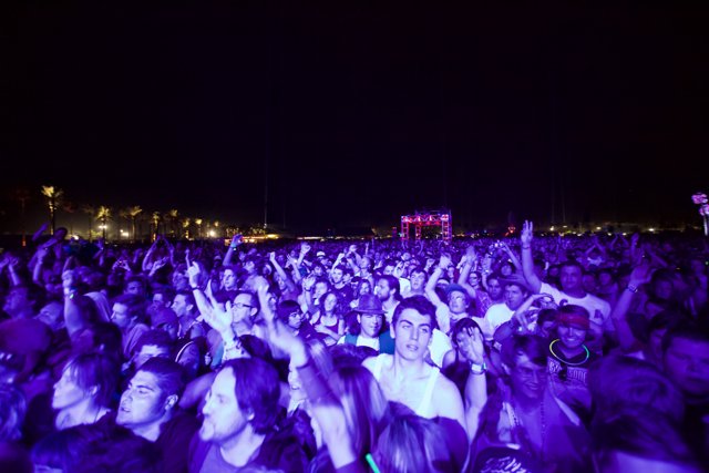 Hands Up at Coachella 2011