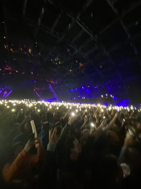 Lighting up the Night: A Rock Concert Crowd Captured on Camera