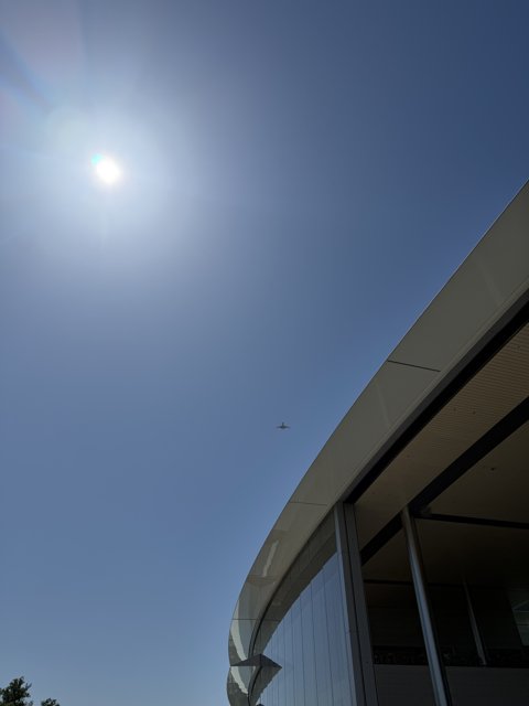 Sunlit Soaring at Apple Park