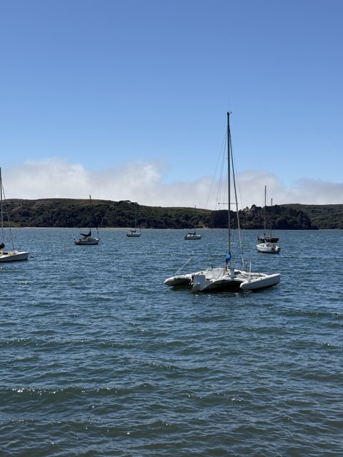 Tranquil Waters of Tomales Bay