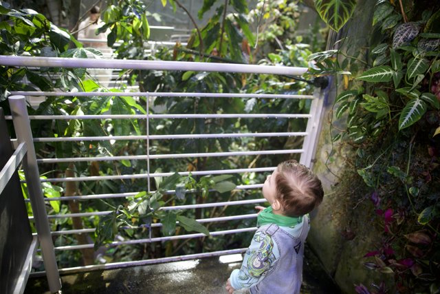 Young Explorer in the Greenhouse