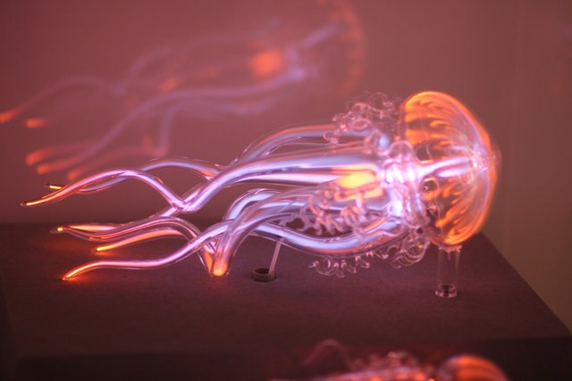 Neon-Lit Jellyfish