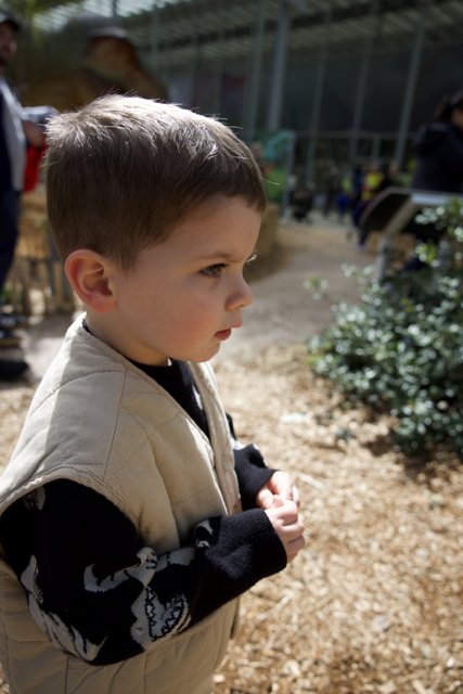 Curious Contemplation