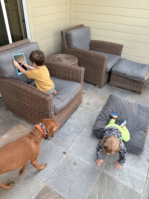 Patio Playtime in Carmel