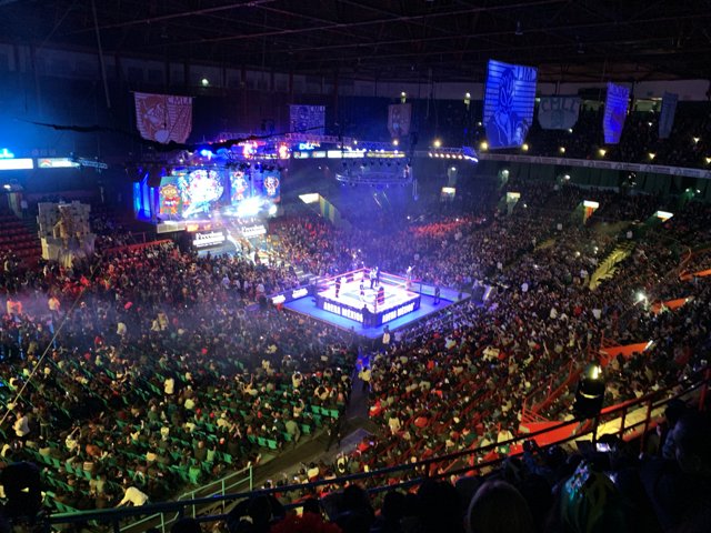 Massive Crowd at the Arena