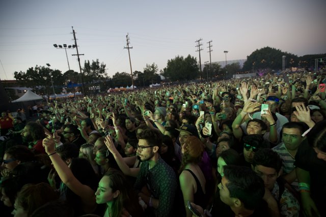 Concertgoers Reach for the Sky