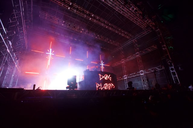 DJ Khaled electrifies Coachella crowd