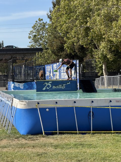 Summer Fun at the Dock Dogs Event