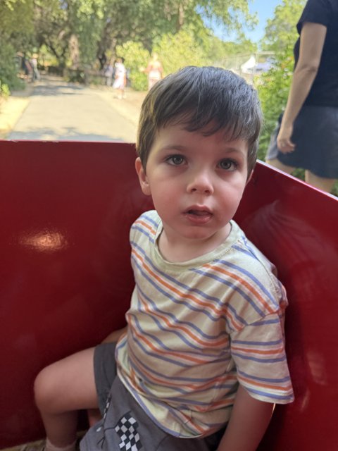 Joyful Playtime in the Park