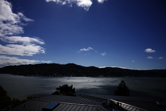 Serene Vista from the Rooftops of Tiburon