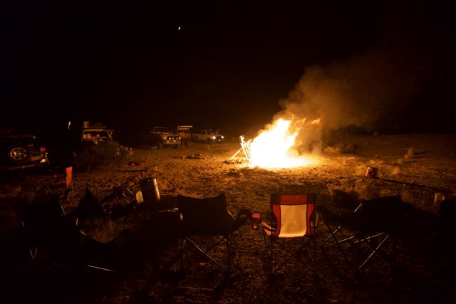 Desert Bonfire Nights