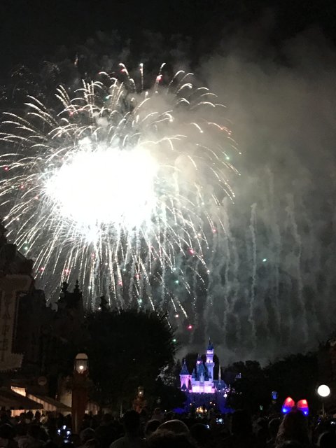Sparkling Disneyland Fireworks Display