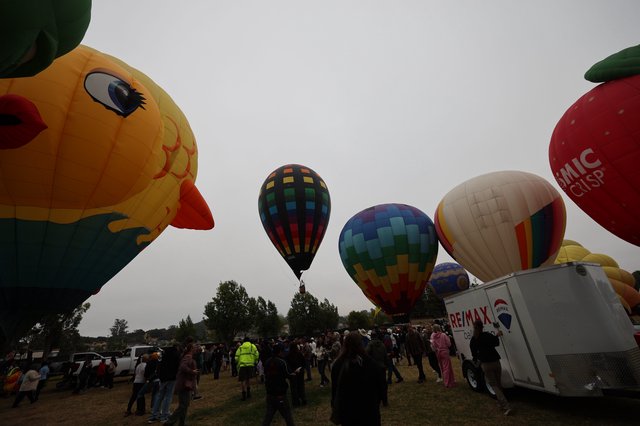 Colorful Hot Air Balloons Fill the Sky at Festival