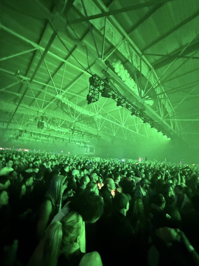 Massive Crowd Under Green Lights at Electronic Music Concert