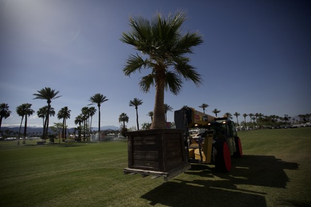 Tractor under the palms