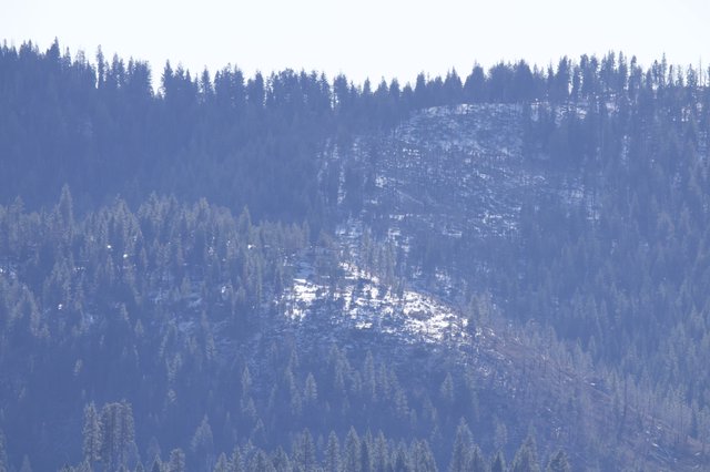 Layered Forest Ridges in Winter Haze