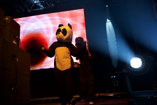 Panda Bear Takes the Stage
