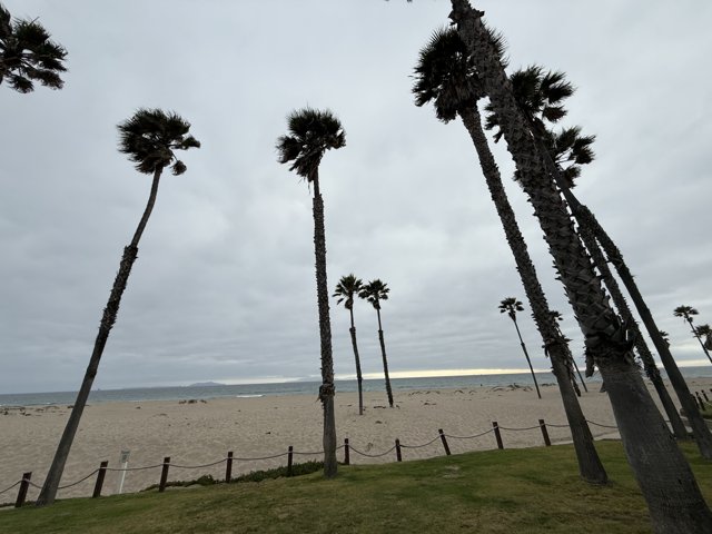 Tranquil Shores of Oxnard