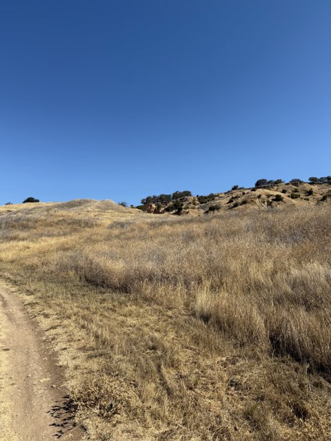 Tranquil Trails of Lime Ridge