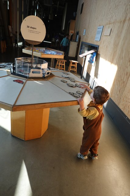 Curiosity in Play