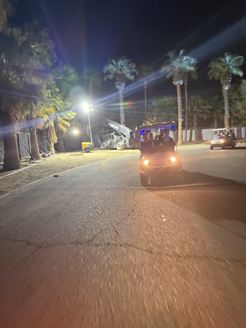 Night Lights and Palm Shadows