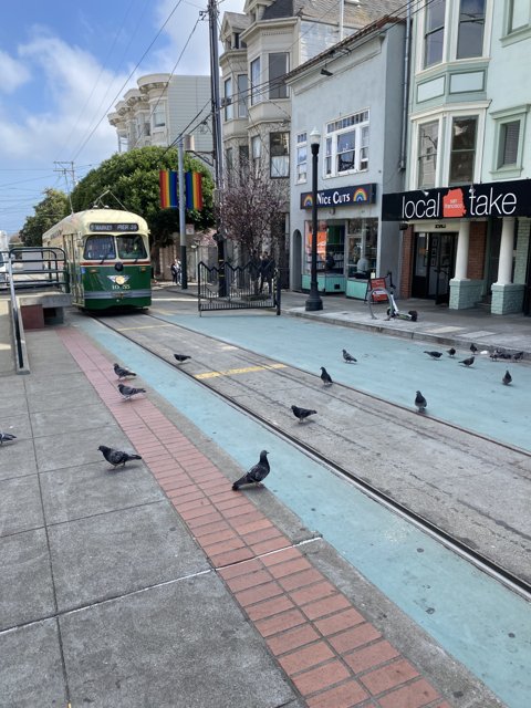 Pigeons and a Bus in the Busy City