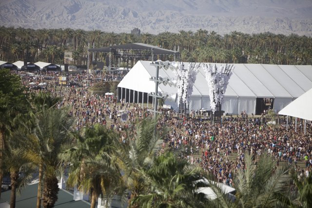 Coachella 2014 - The Masses