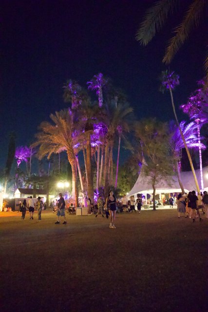Neon Nights: A Vibrant Evening at Coachella 2024